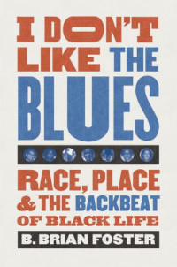Scholars Foster and Gussow Unpack Race and the Blues | Music Reviews